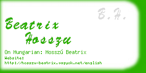 beatrix hosszu business card